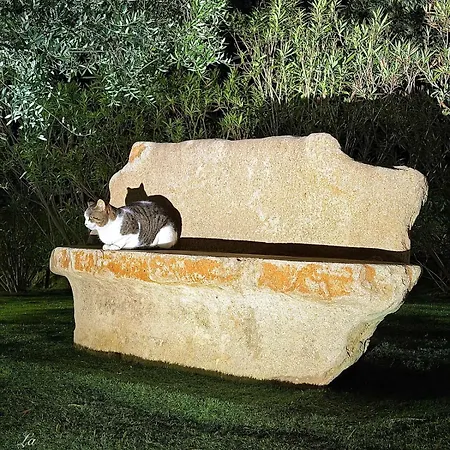 La Casetta In Piscina Willa Matera